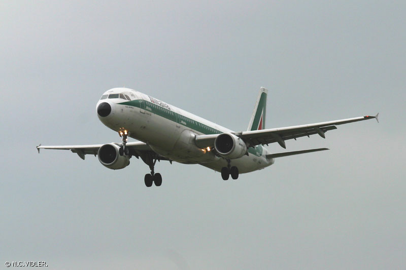d74.jpg