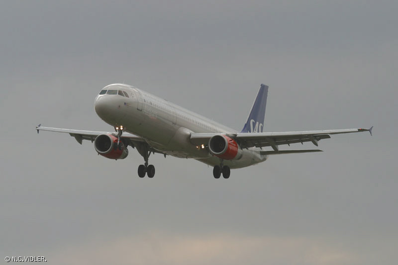 d94.jpg